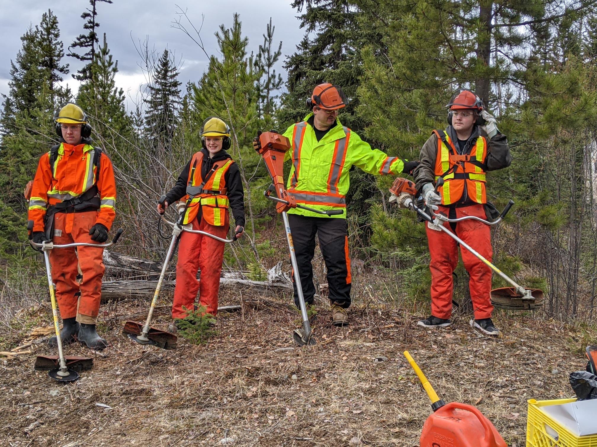 Project Forest Management - SD91