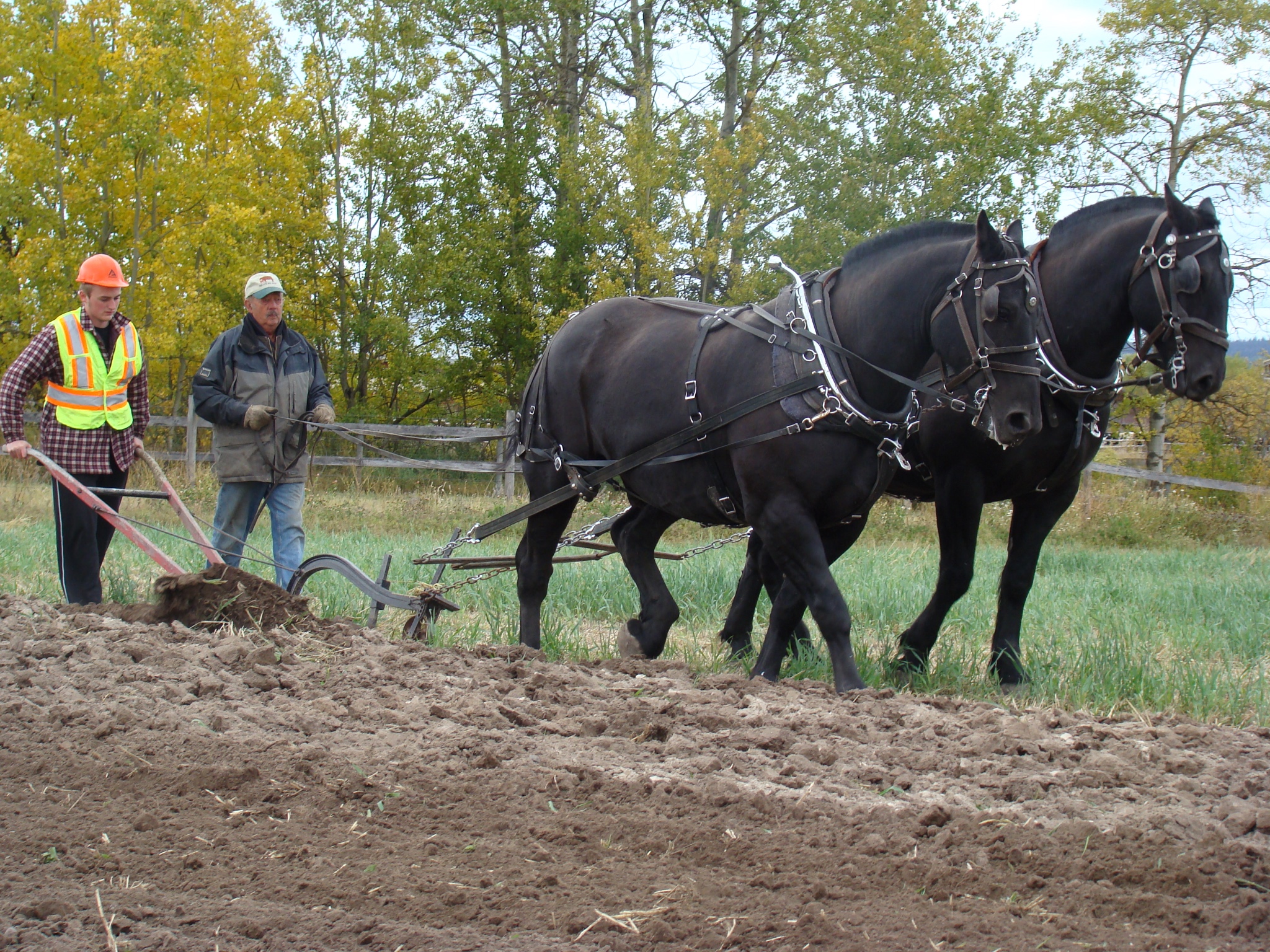 Proj AG DSC06530