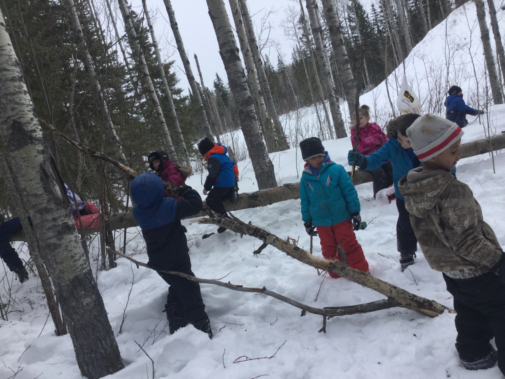 Outdoor Learning Kit