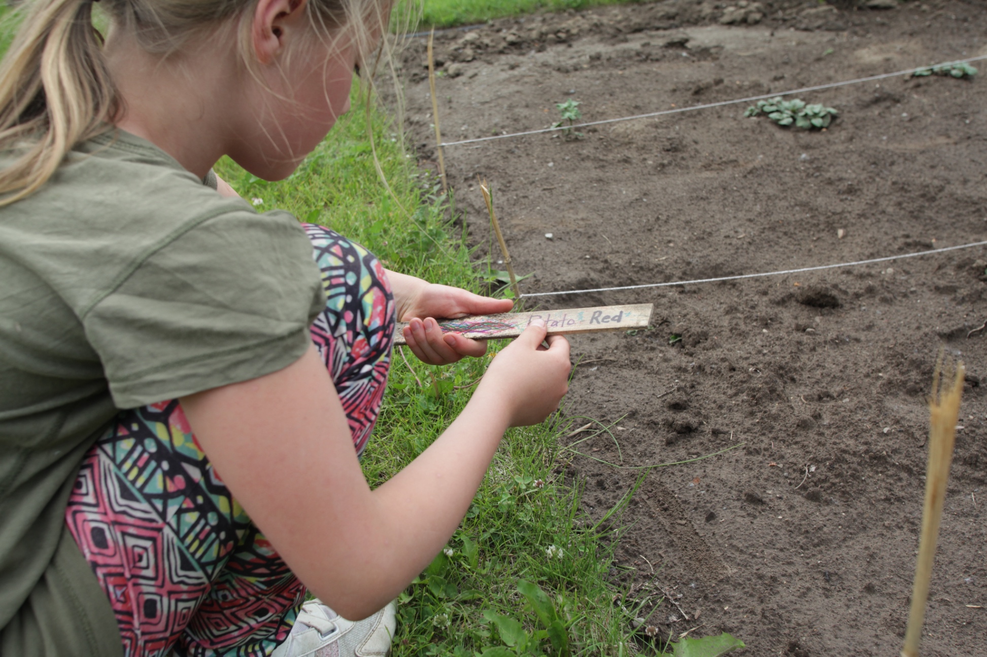 Green Thumb 1