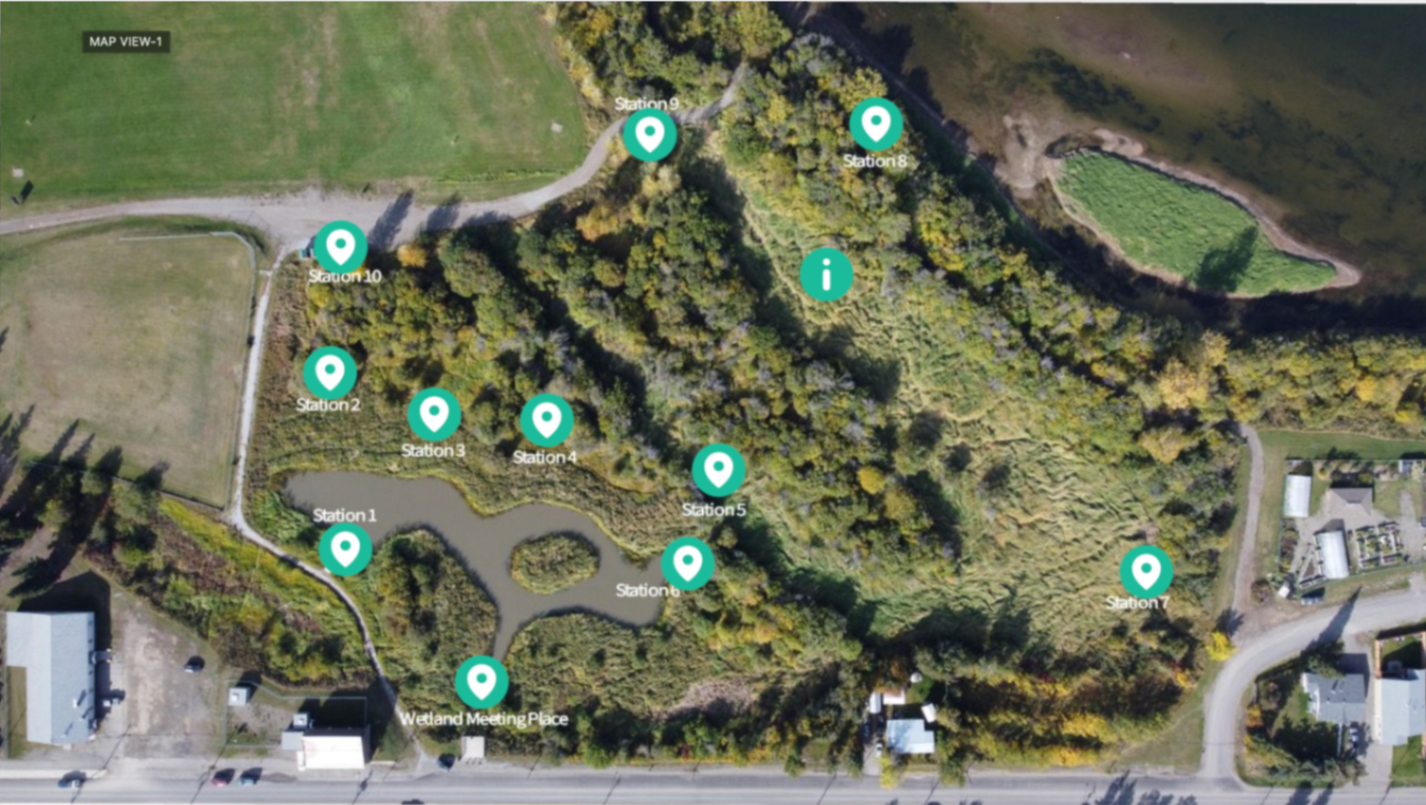 wetlandstations