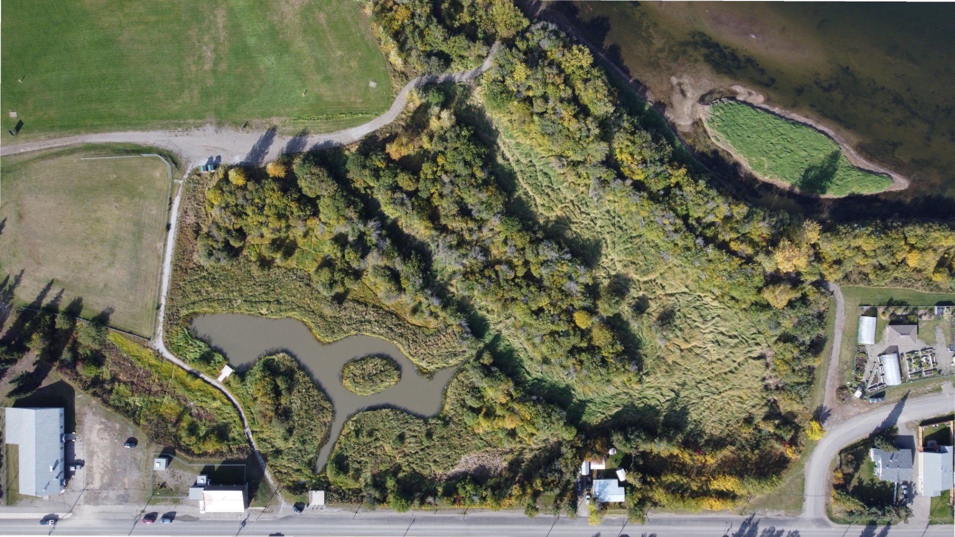 blank map WLM Pathway Site Plan
