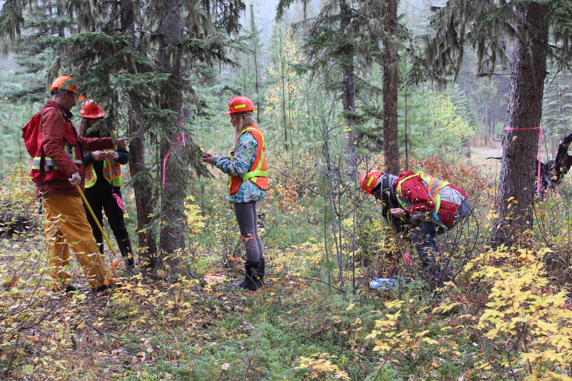 Camp NR IMG 1467