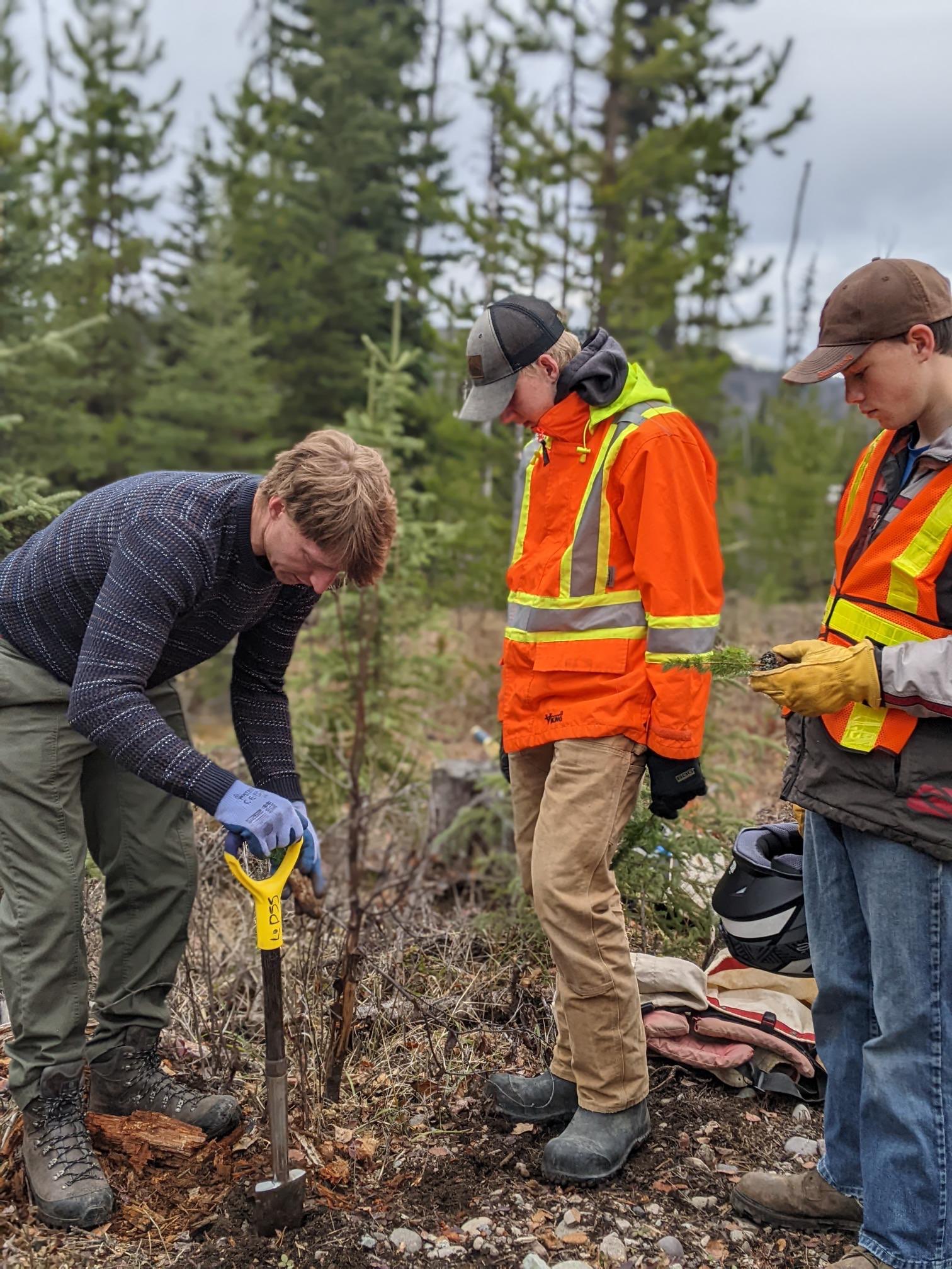 Project Forest Management - SD91