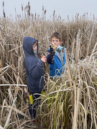 Redmond Wetland Snip 2 for Manu