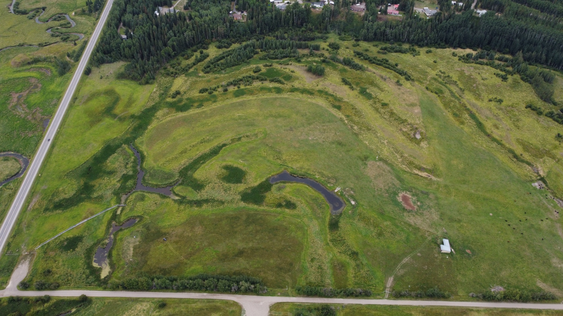 Redmond Wetland Redmond August 2021
